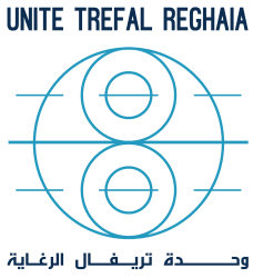 Trefal
